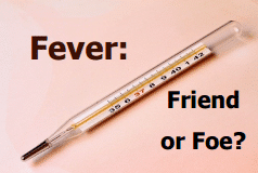 Chiropractic Nepean ON Fever